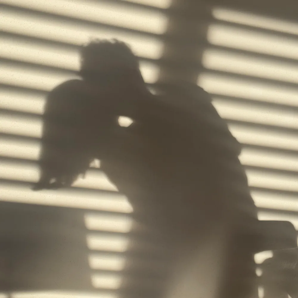 Dance shadow with venetian blinds